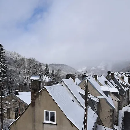 Apartment Le Nid Du Sancy - 5p - Proche Station De *