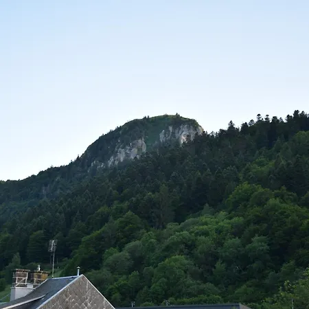 Le Nid Du Sancy - 5p - Proche Station De Le Mont-Dore